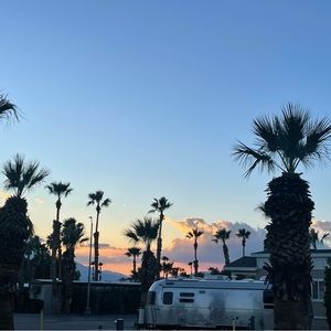 Meet your Posher, Robin